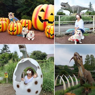 伊豆ぐらんぱる公園に投稿された画像（2020/9/24）