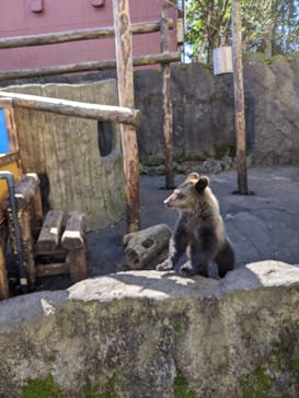 のぼりべつクマ牧場に投稿された画像（2020/9/24）
