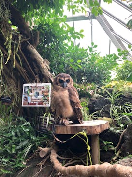 伊豆シャボテン動物公園に投稿された画像（2020/9/24）