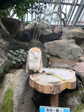 伊豆シャボテン動物公園に投稿された画像（2020/9/24）