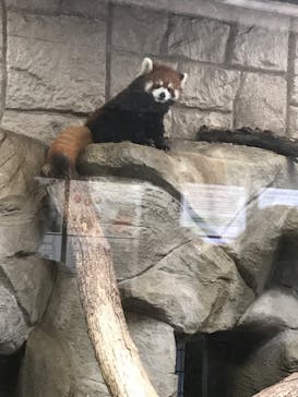 天王寺動物園に投稿された画像（2020/9/24）