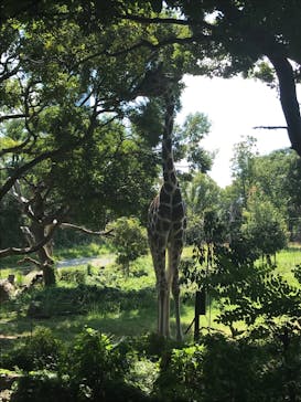 天王寺動物園に投稿された画像（2020/9/24）