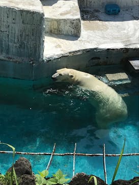 天王寺動物園に投稿された画像（2020/9/24）