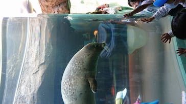 旭川市旭山動物園に投稿された画像（2020/9/24）