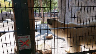 旭川市旭山動物園に投稿された画像（2020/9/24）