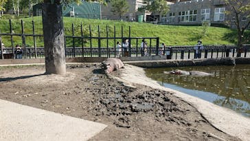 旭川市旭山動物園に投稿された画像（2020/9/24）