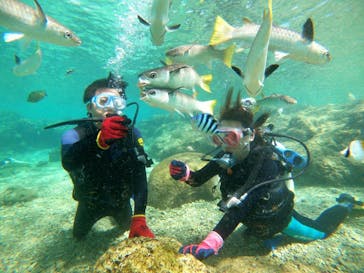 武藤潜水に投稿された画像（2020/9/25）