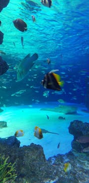 サンシャイン水族館に投稿された画像（2020/9/25）