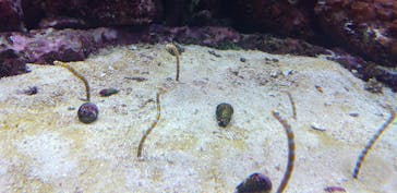 サンシャイン水族館に投稿された画像（2020/9/25）