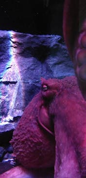 サンシャイン水族館に投稿された画像（2020/9/25）