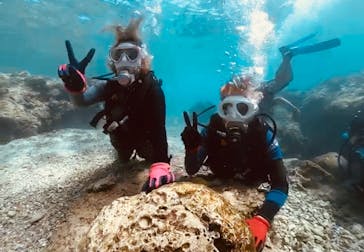 DIVING-SHOP SUNSに投稿された画像（2020/9/25）