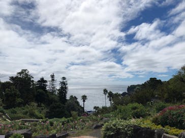 ニューヨークランプミュージアム＆フラワーガーデンに投稿された画像（2020/9/25）