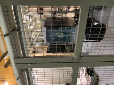 サンシャイン水族館に投稿された画像（2020/9/25）