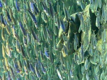 サンシャイン水族館に投稿された画像（2020/9/25）