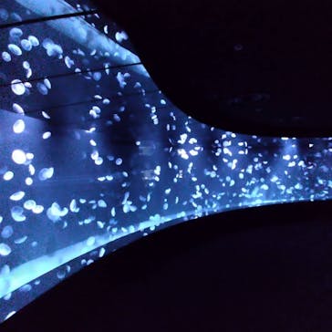 サンシャイン水族館に投稿された画像（2020/9/25）