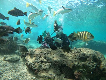 青の洞窟専門店　沖縄ダイビングショップ和に投稿された画像（2020/9/25）