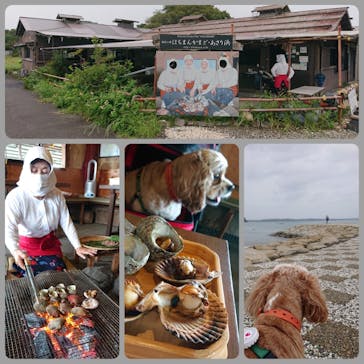 海女小屋はちまんかまどに投稿された画像（2020/9/25）