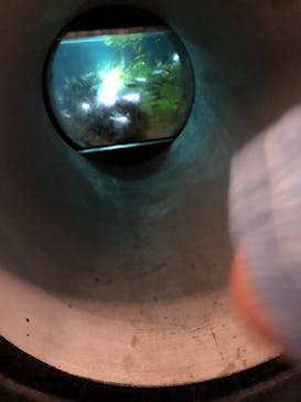 四国水族館に投稿された画像（2020/9/25）