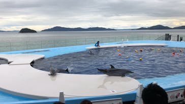 四国水族館に投稿された画像（2020/9/25）