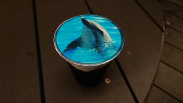 四国水族館に投稿された画像（2020/9/25）