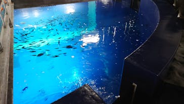 四国水族館に投稿された画像（2020/9/25）