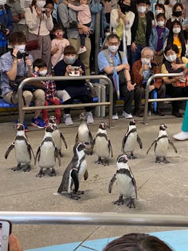 鳥羽水族館に投稿された画像（2020/9/25）