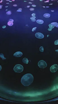 すみだ水族館に投稿された画像（2020/9/26）