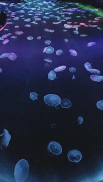 すみだ水族館に投稿された画像（2020/9/26）