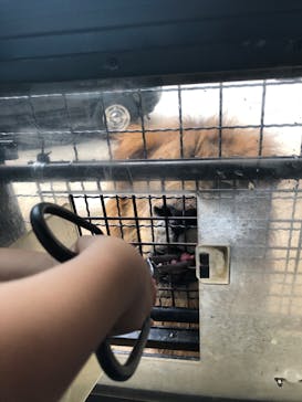 群馬サファリパークに投稿された画像（2020/9/26）