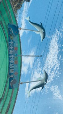 下田海中水族館に投稿された画像（2020/9/26）