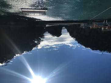 下田海中水族館に投稿された画像（2020/9/26）