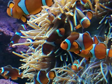 サンシャイン水族館に投稿された画像（2020/9/26）