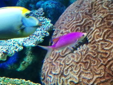 サンシャイン水族館に投稿された画像（2020/9/26）