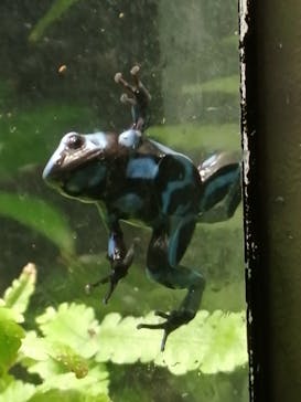 サンシャイン水族館に投稿された画像（2020/9/26）