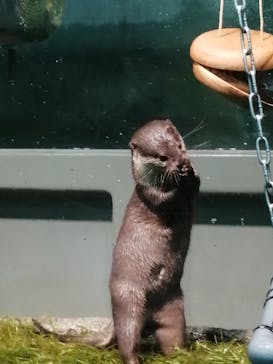 サンシャイン水族館に投稿された画像（2020/9/26）