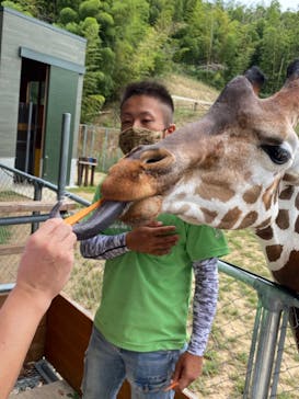 しろとり動物園に投稿された画像（2020/9/26）