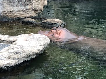 天王寺動物園に投稿された画像（2020/9/26）