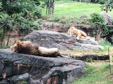 天王寺動物園に投稿された画像（2020/9/26）