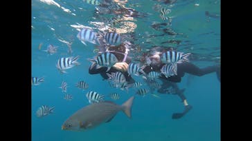 MalDive（モルダイブ）に投稿された画像（2020/9/26）