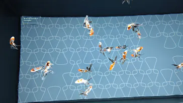 すみだ水族館に投稿された画像（2020/9/26）