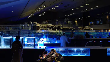 すみだ水族館に投稿された画像（2020/9/26）