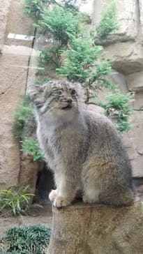 那須どうぶつ王国に投稿された画像（2020/9/21）