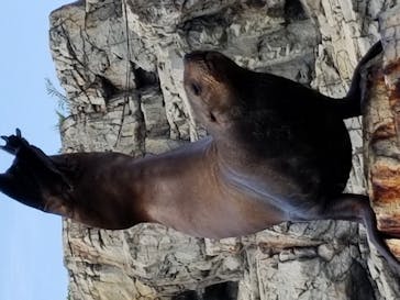 大分マリーンパレス水族館 「うみたまご」に投稿された画像（2020/9/26）