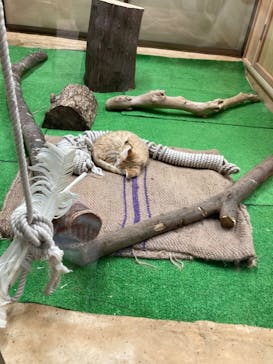 那須どうぶつ王国に投稿された画像（2020/9/26）