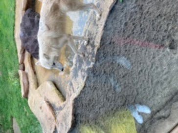 那須どうぶつ王国に投稿された画像（2020/9/26）