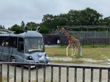 那須サファリパークに投稿された画像（2020/9/26）