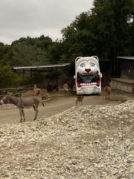 那須サファリパークに投稿された画像（2020/9/26）