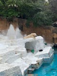 天王寺動物園に投稿された画像（2020/9/26）