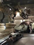 国立科学博物館に投稿された画像（2020/9/26）