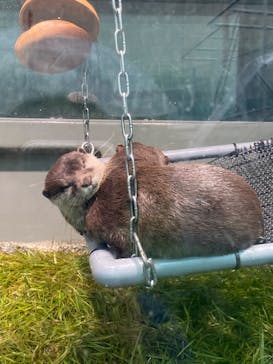 サンシャイン水族館に投稿された画像（2020/9/26）